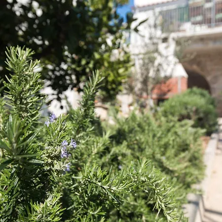 House Mari Tatil Evi *